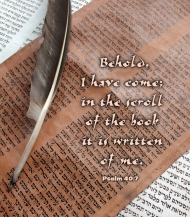 Click for high resolution graphic.