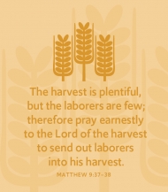 Click for high resolution graphic.